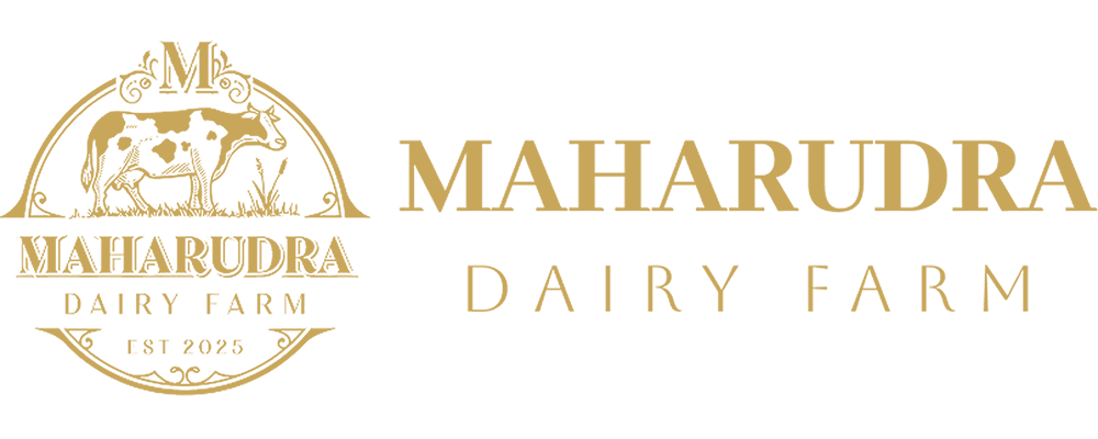 logo-img